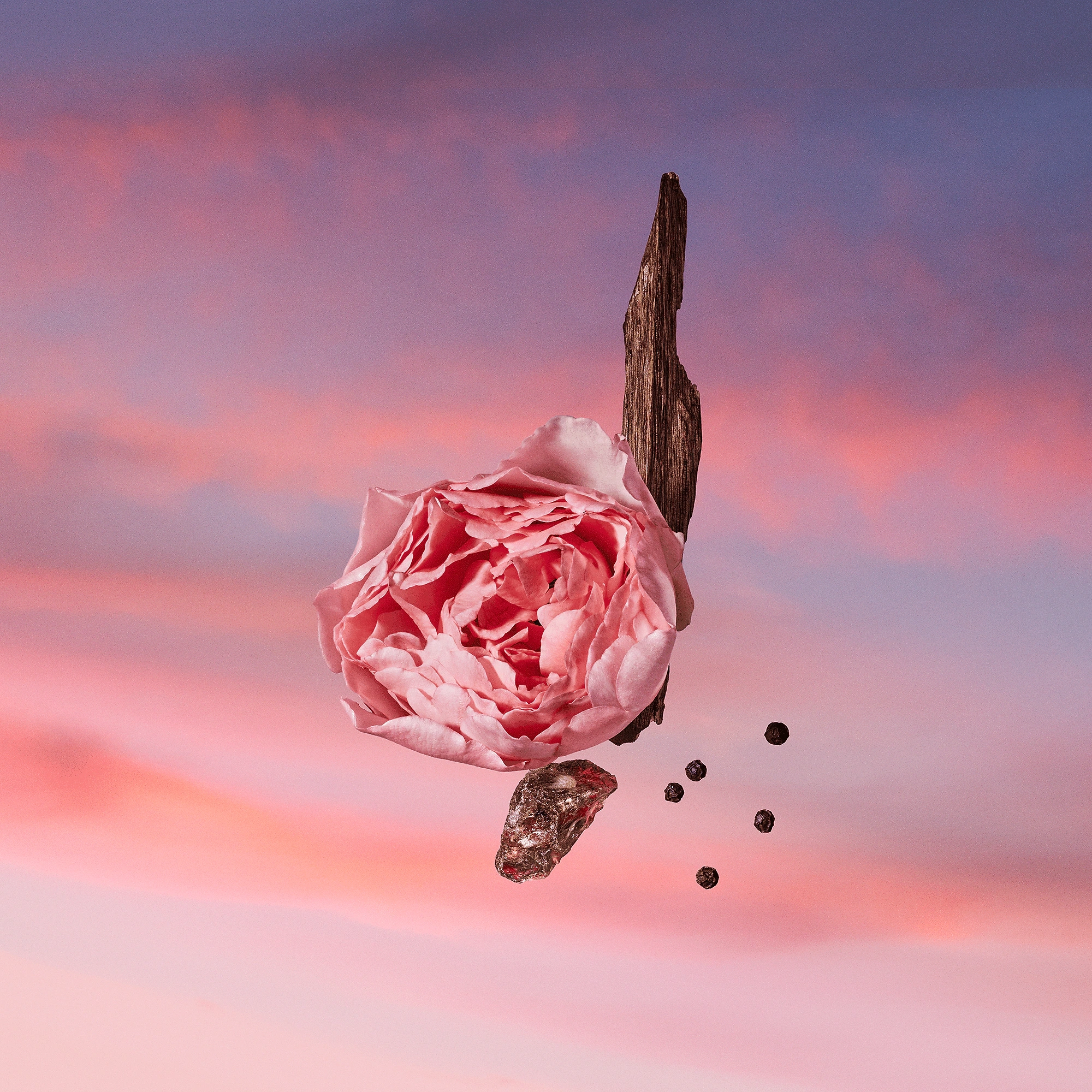 Фото Louis Vuitton Les Sables Roses