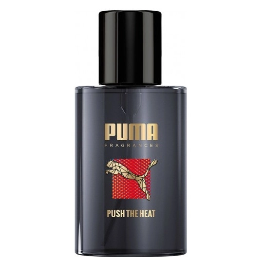 Фото Puma Push The Heat