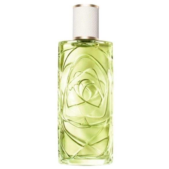 Фото Lancôme Off Now