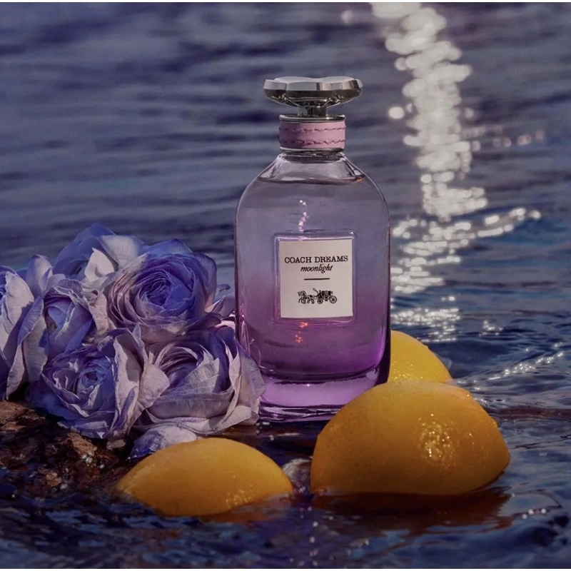 Фото Coach Dreams Moonlight