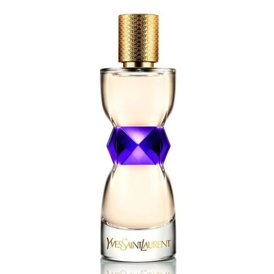 Фото Yves Saint Laurent Manifesto