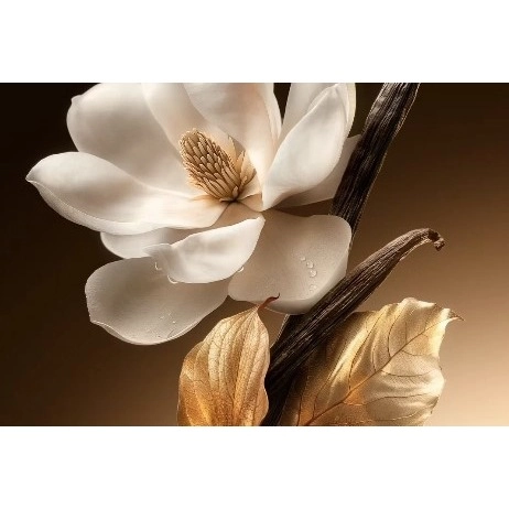 Фото Nina Ricci Venus