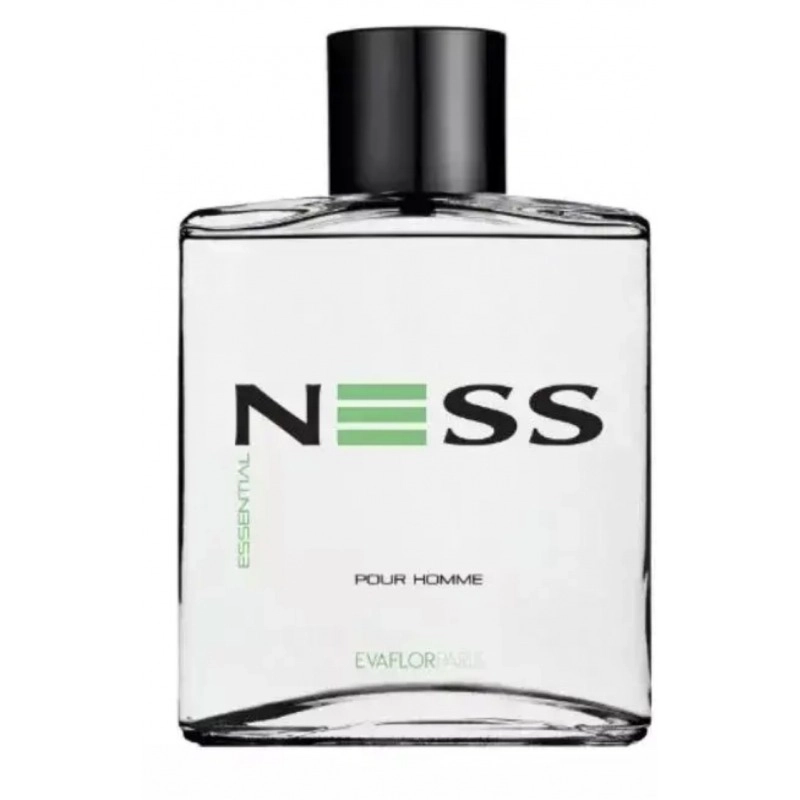Фото Evaflor Ness Essential
