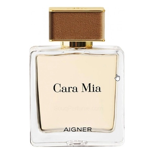 Фото Aigner Cara Mia