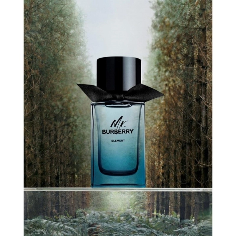 Фото Mr. Burberry Element