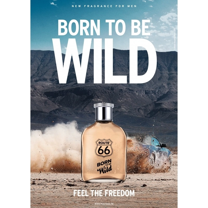 Фото Route 66 Born To Be Wild