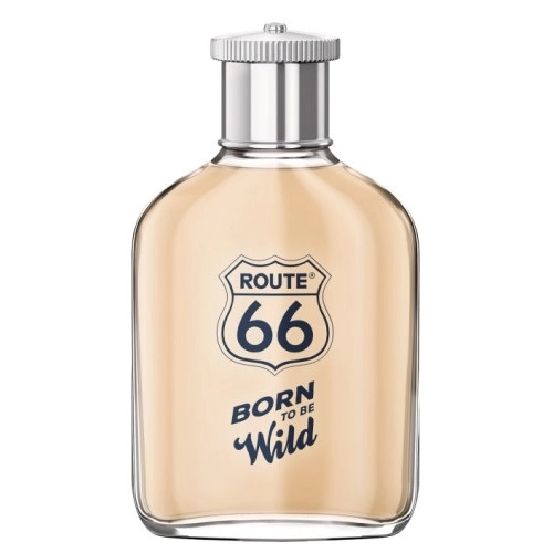 Фото Route 66 Born To Be Wild