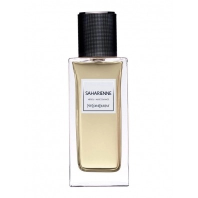 Фото Yves Saint Laurent Saharienne 2015