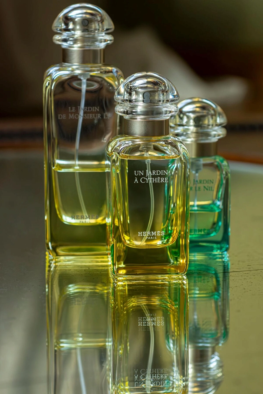 Hermès Le Jardin de Monsieur Li