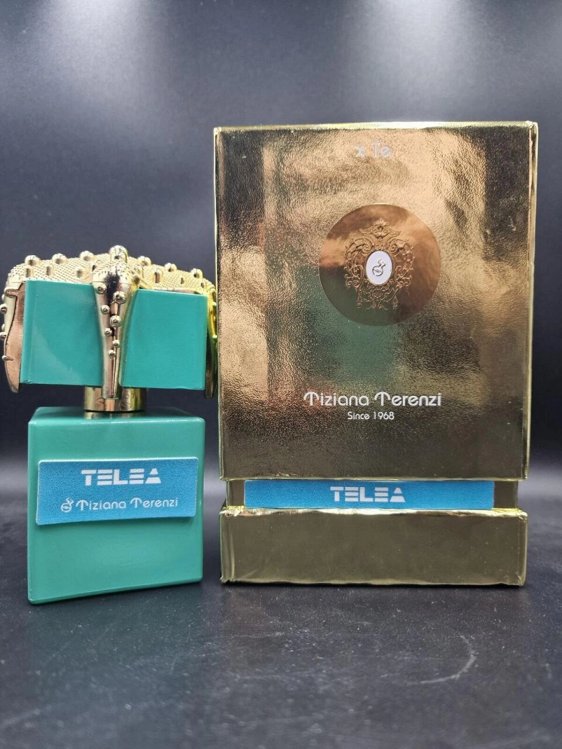 Tiziana Terenzi Telea