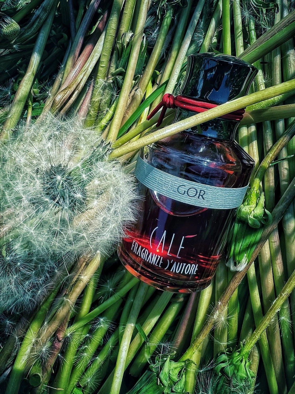 Calé Fragranze d'Autore Fulgor