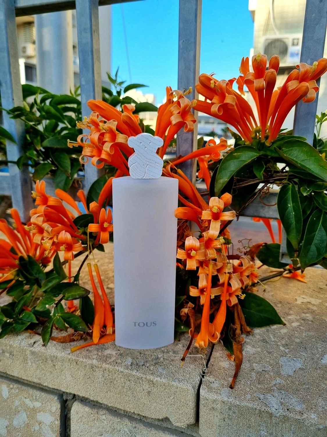 TOUS Les Colognes Concentrees