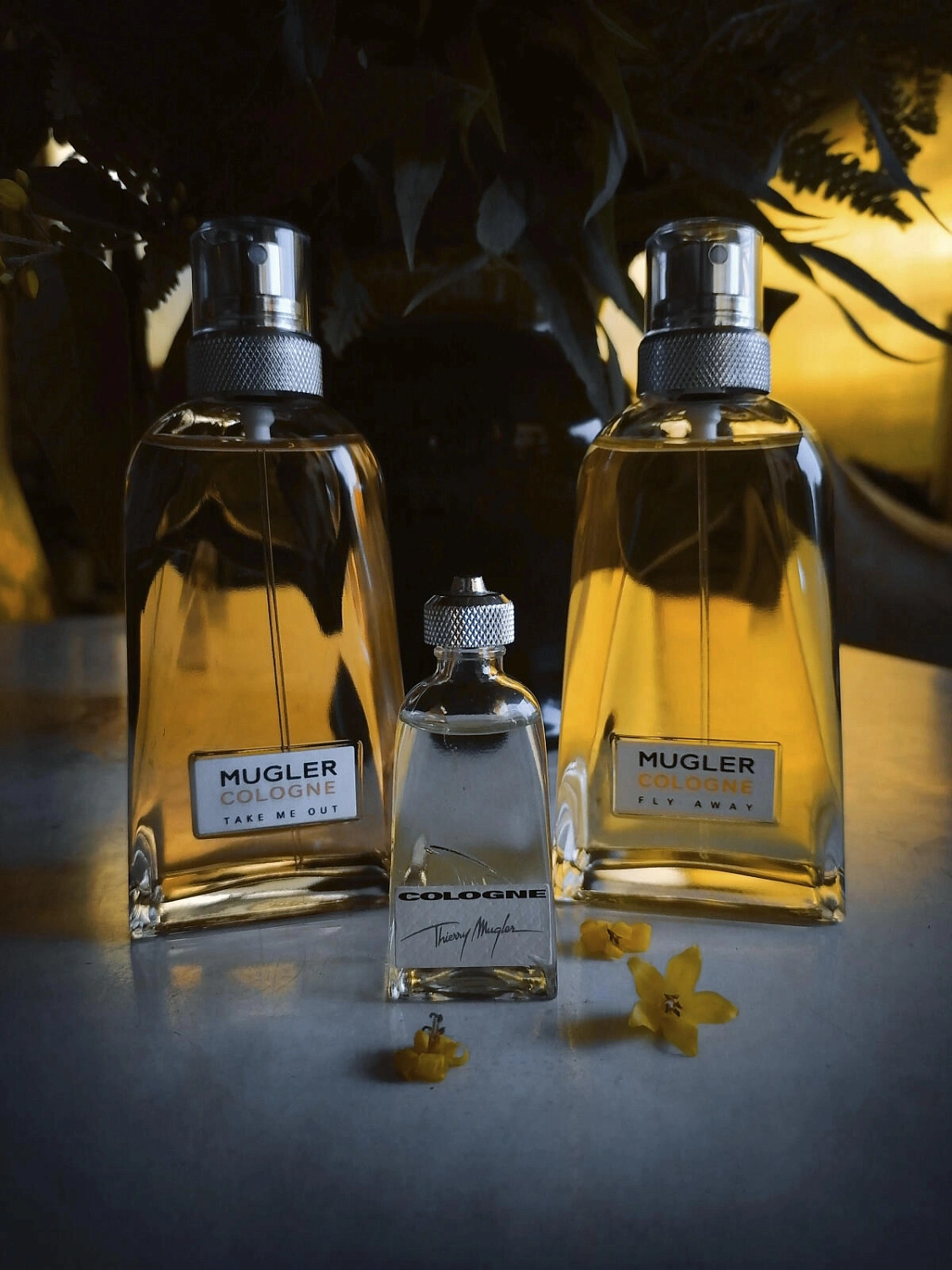 Mugler Cologne