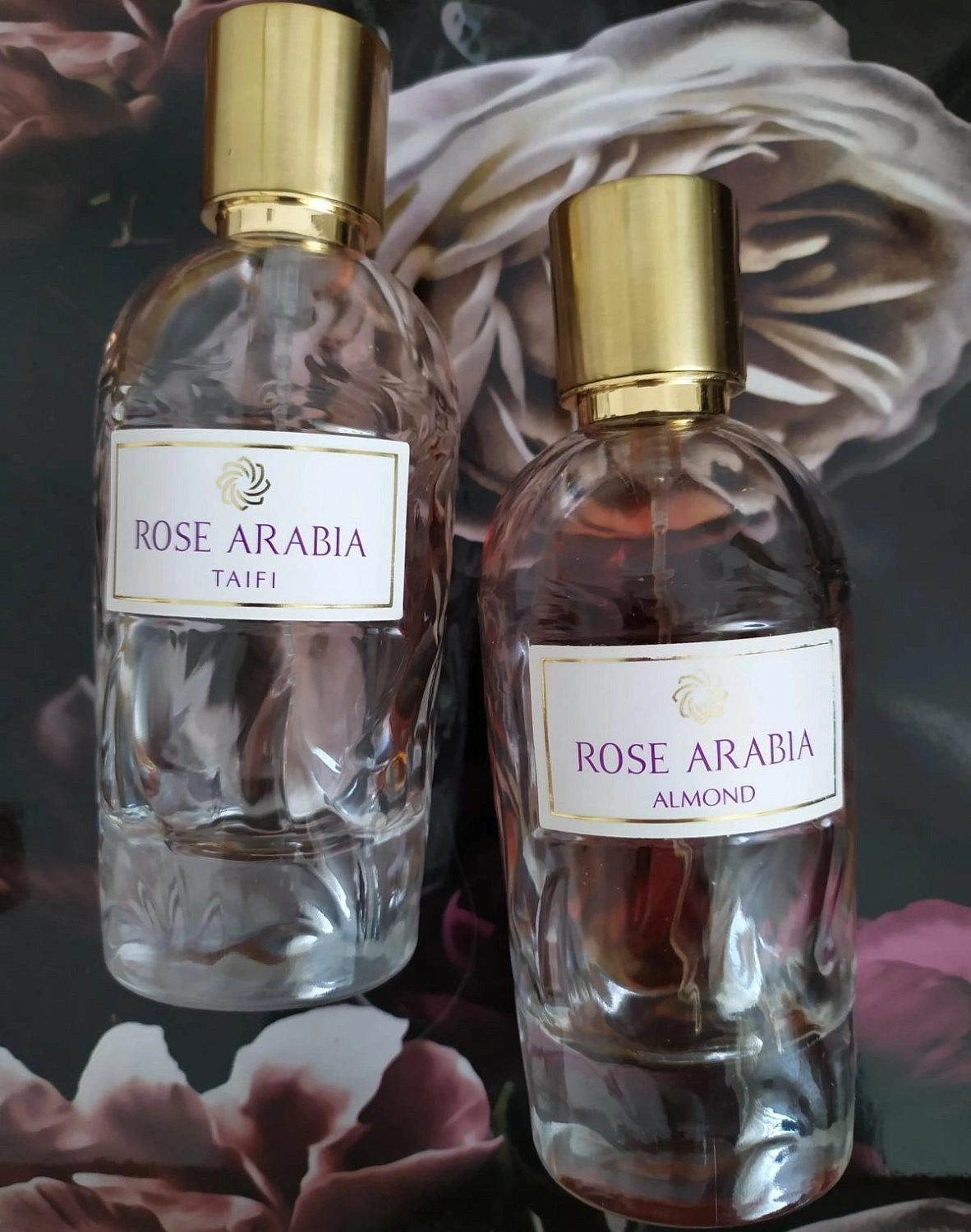AJ Arabia Widian Rose Arabia Taifi