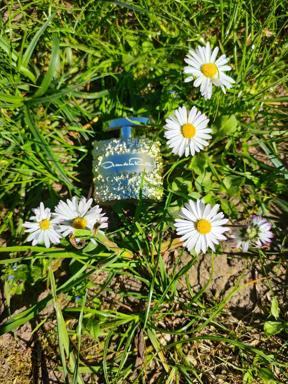 Oscar de la Renta Bella Essence