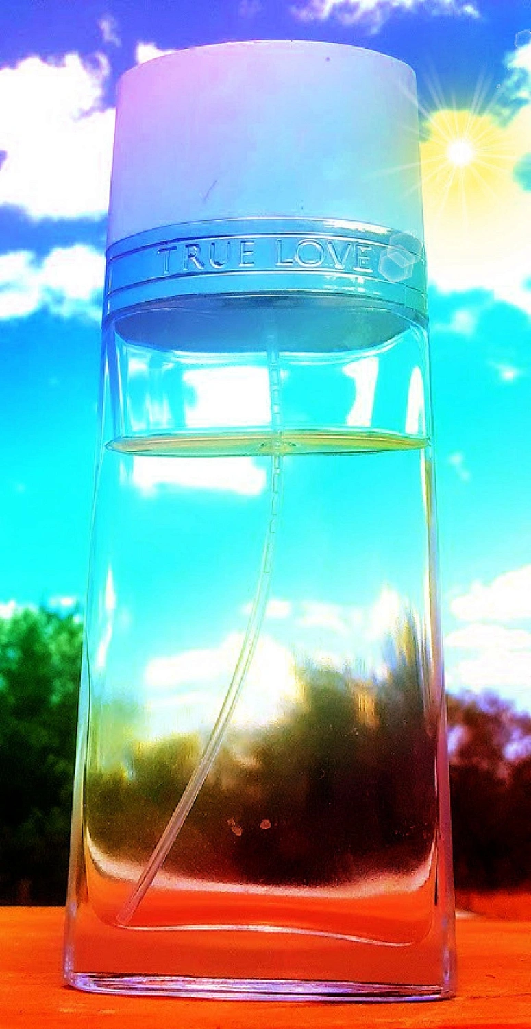 Elizabeth Arden True Love