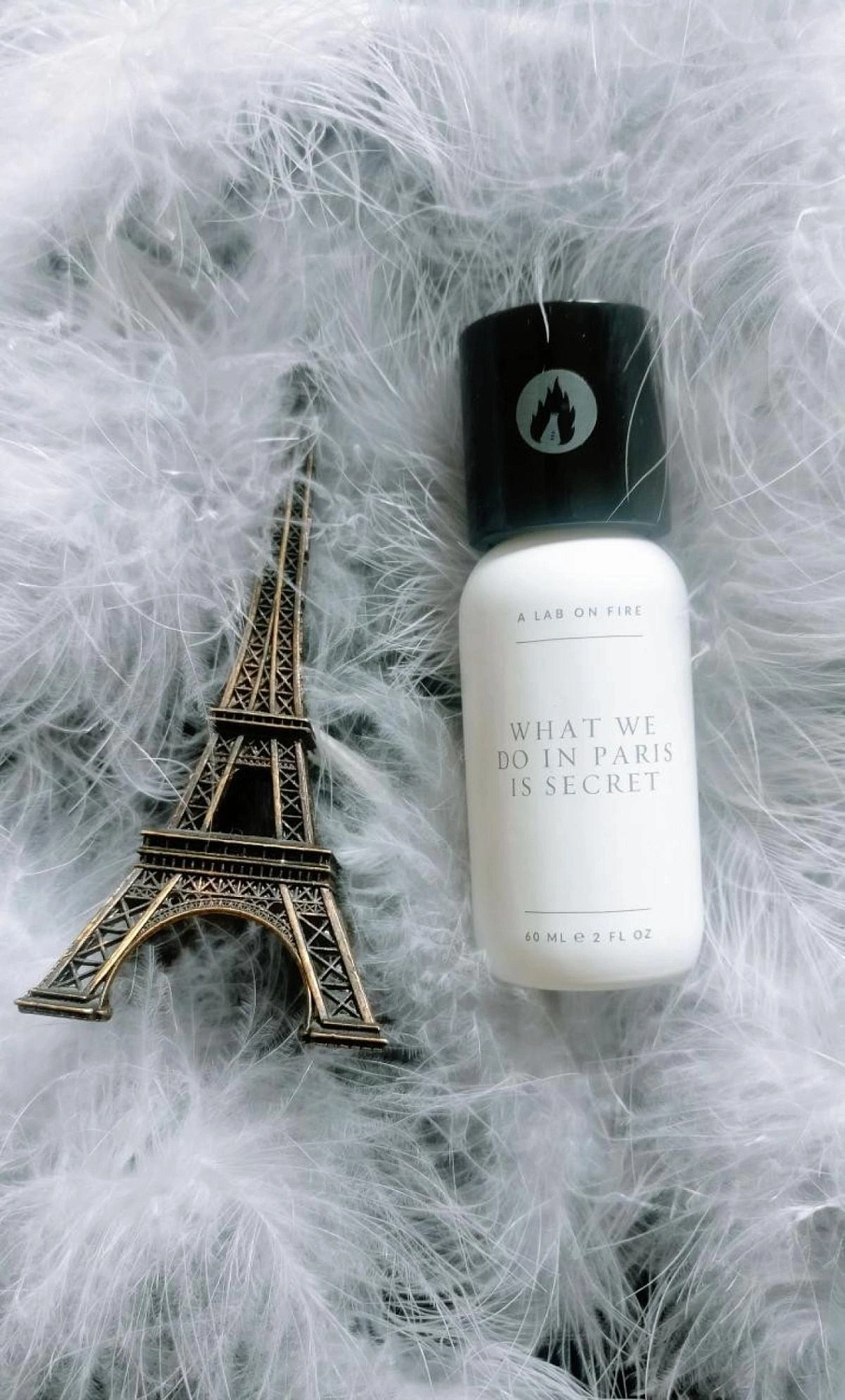 What We Do Is Secret (A Lab on Fire) What We Do In Paris Is Secret