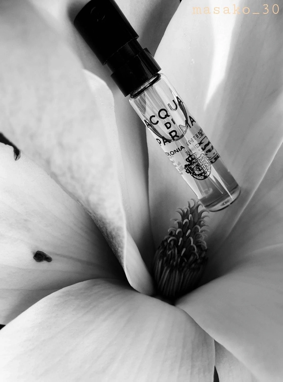 Acqua di Parma Colonia Intensa