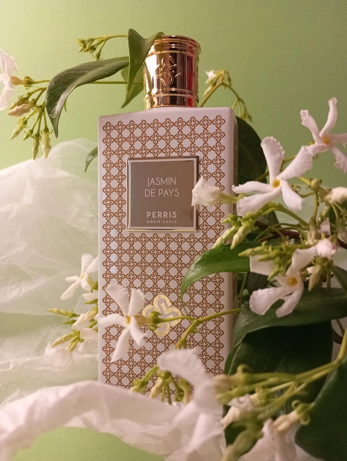 Perris Monte Carlo Jasmin De Pays