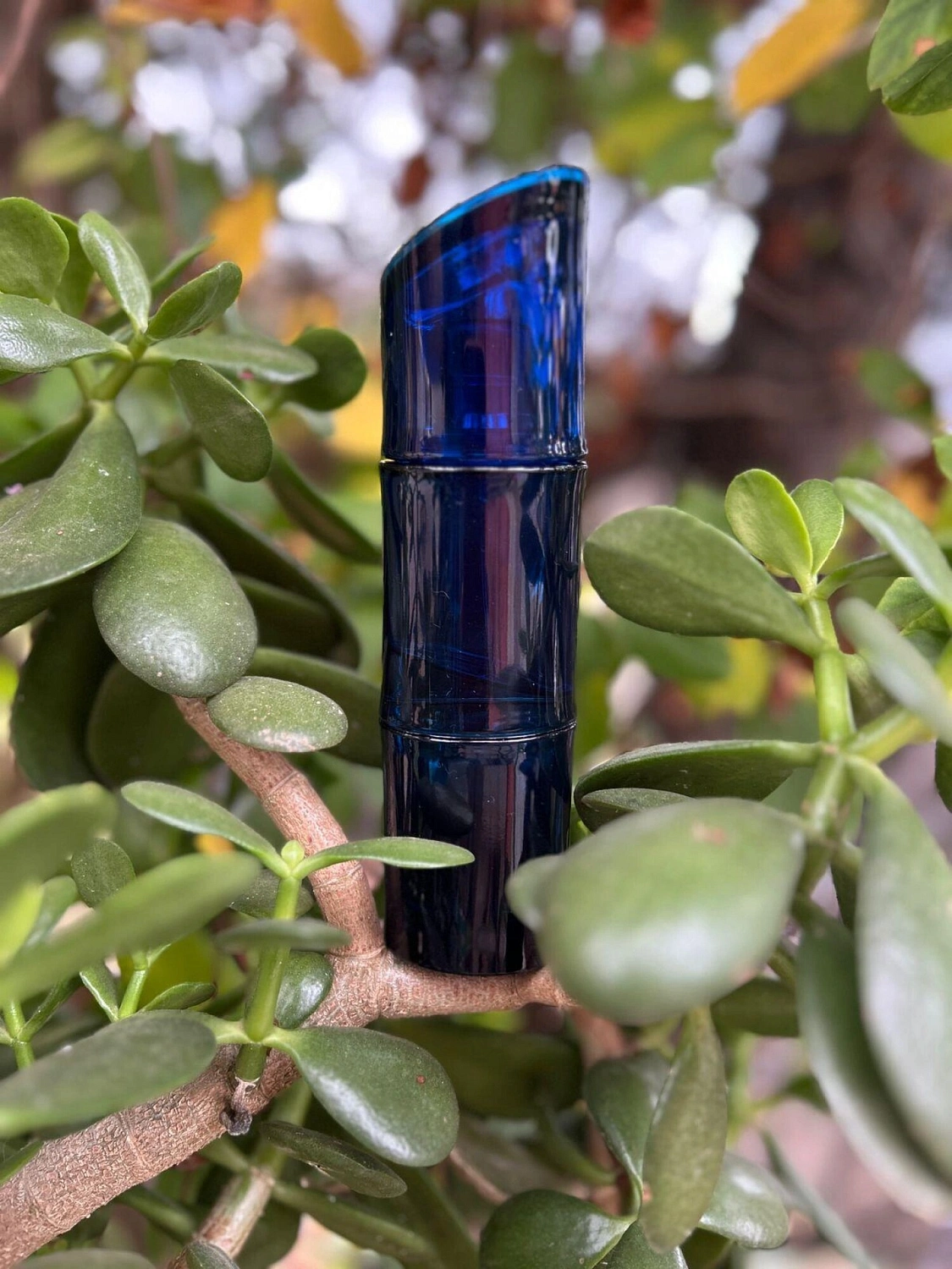 Kenzo Homme Eau de Toilette Intense