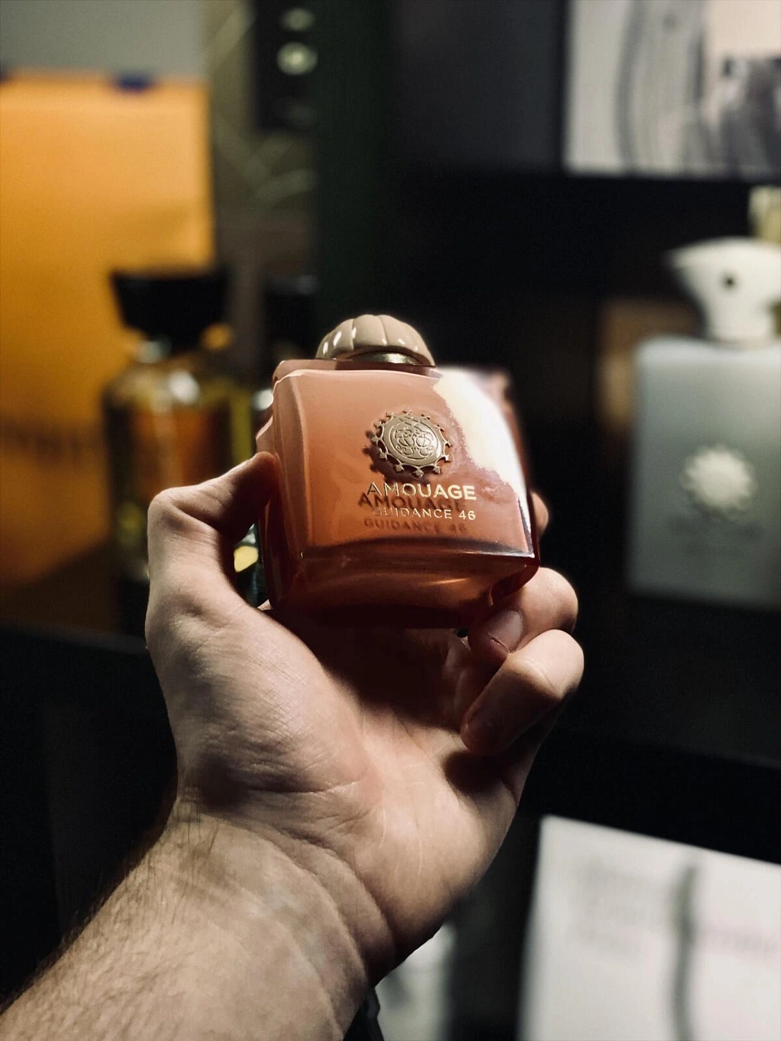 Amouage Guidance 46