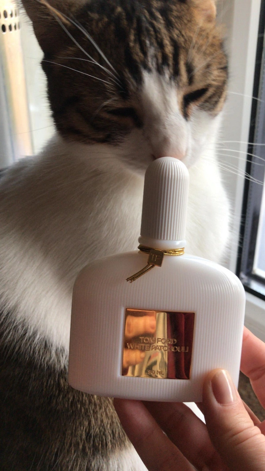 Tom Ford White Patchouli