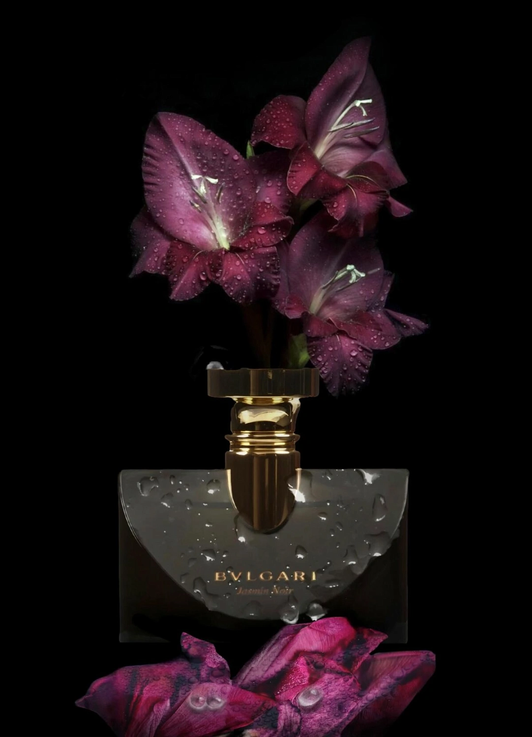 Bvlgari Jasmin Noir