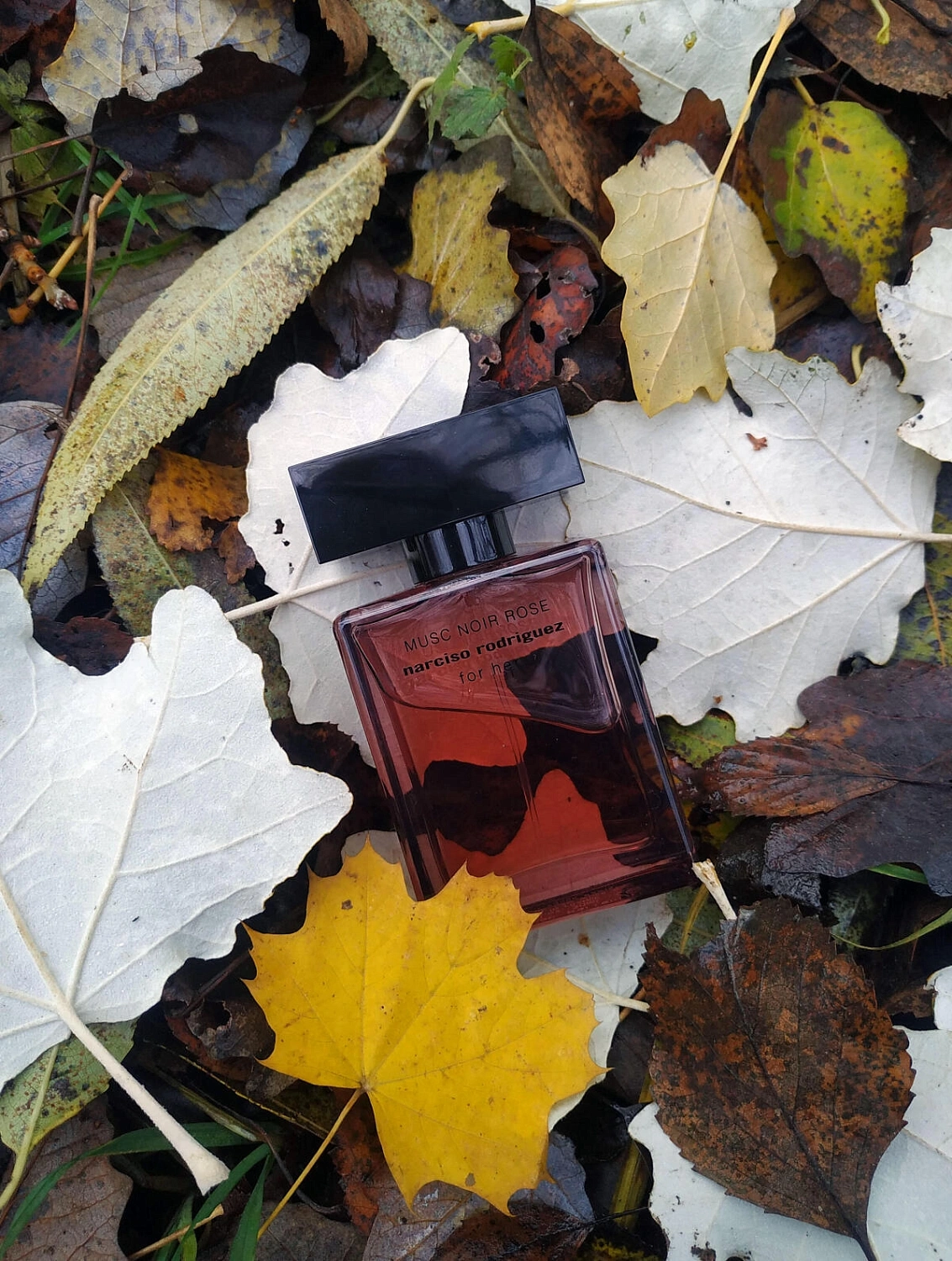 Narciso Rodriguez Musc Noir Rose For Her