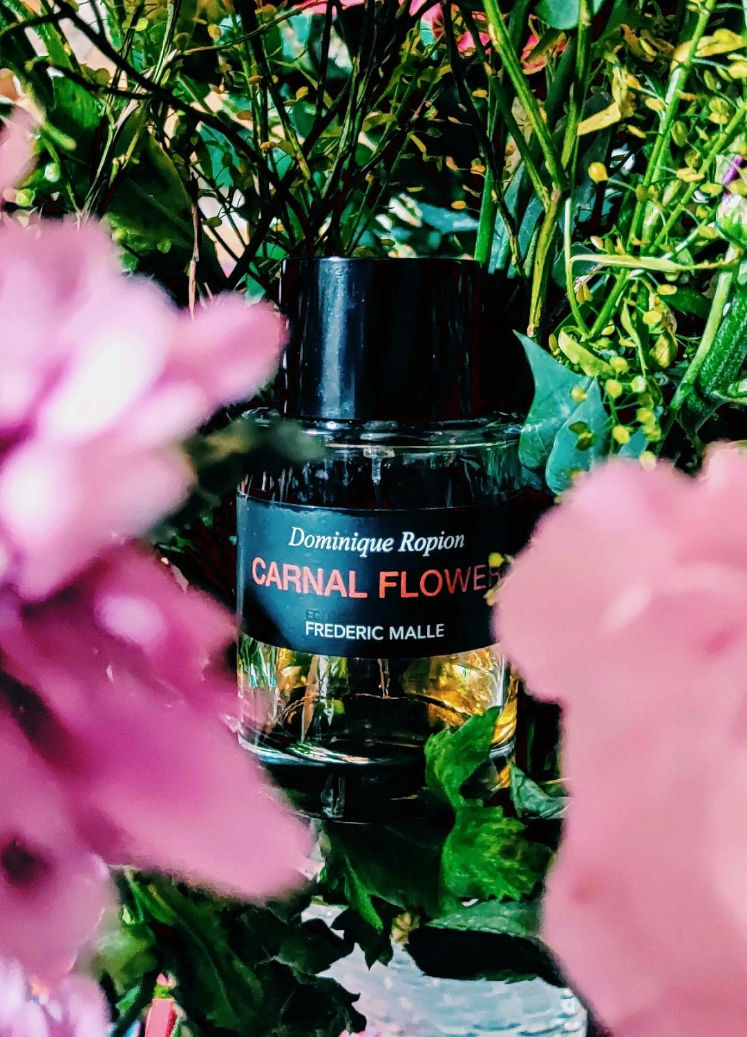 Frédéric Malle Carnal Flower