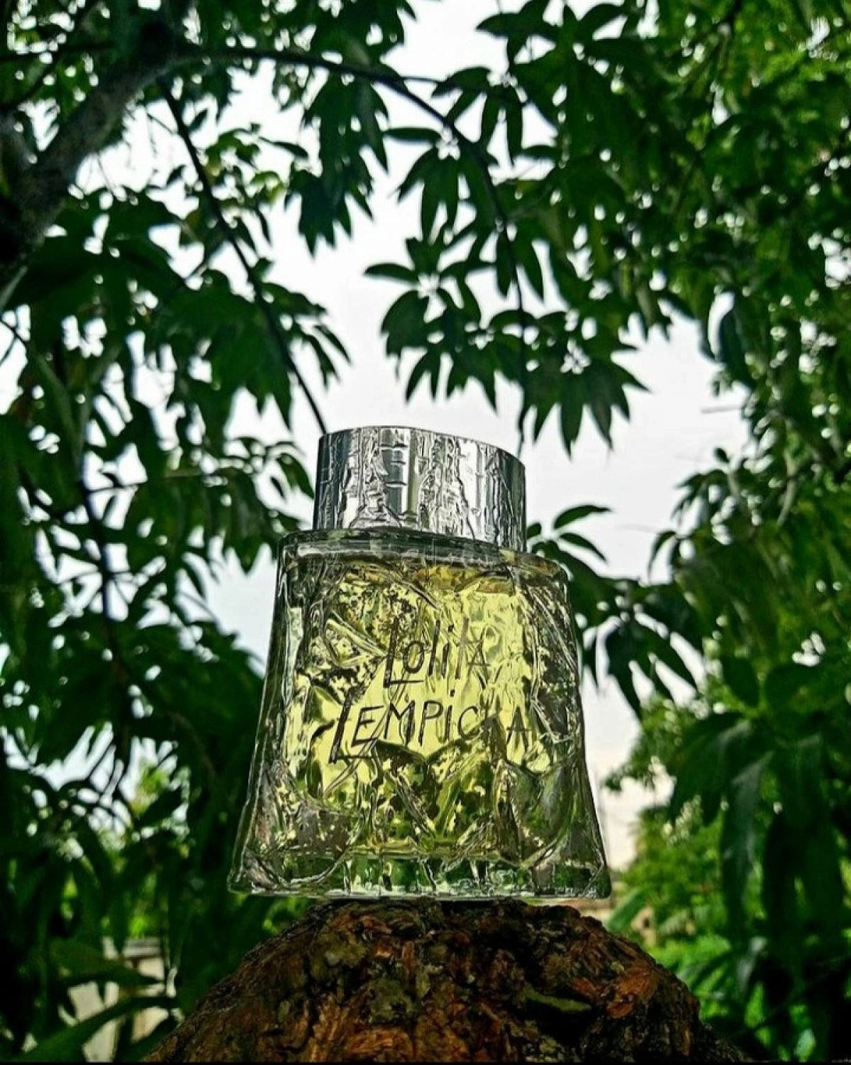Lolita Lempicka L'Eau au Masculin