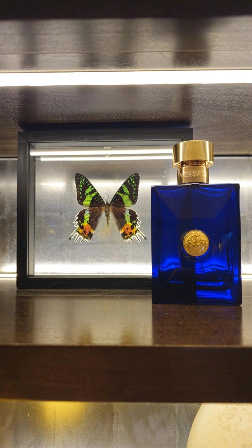 Versace Pour Homme Dylan Blue