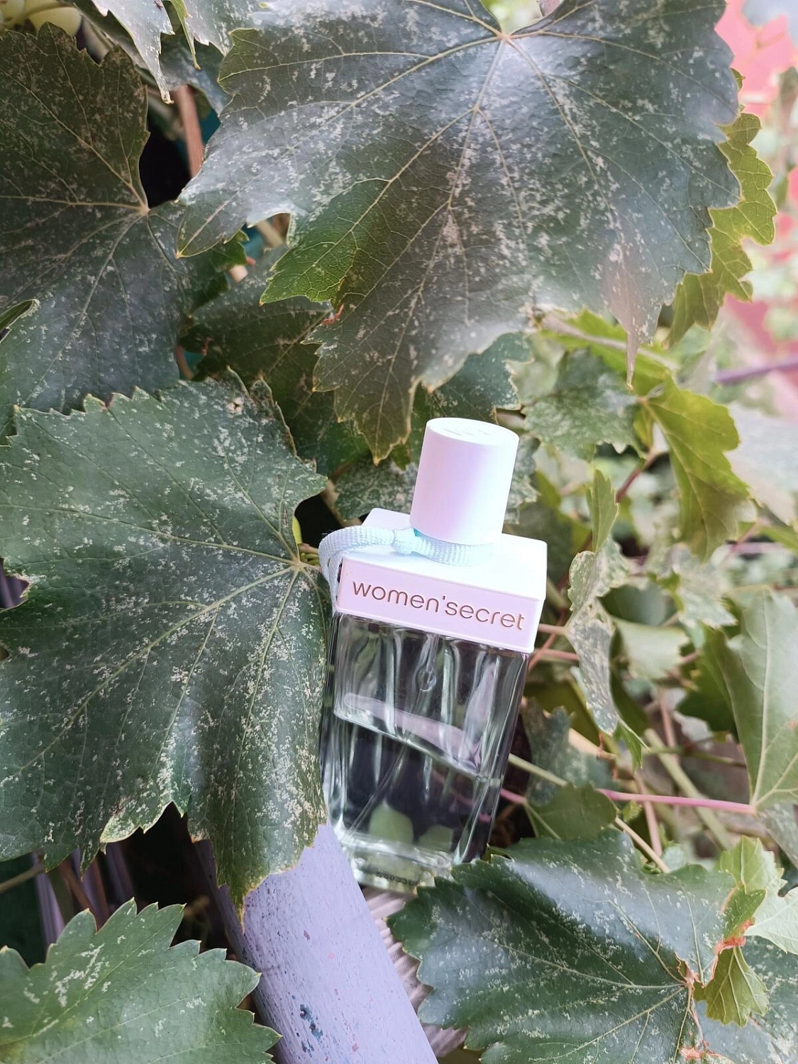 Women'secret Intimate Daydream