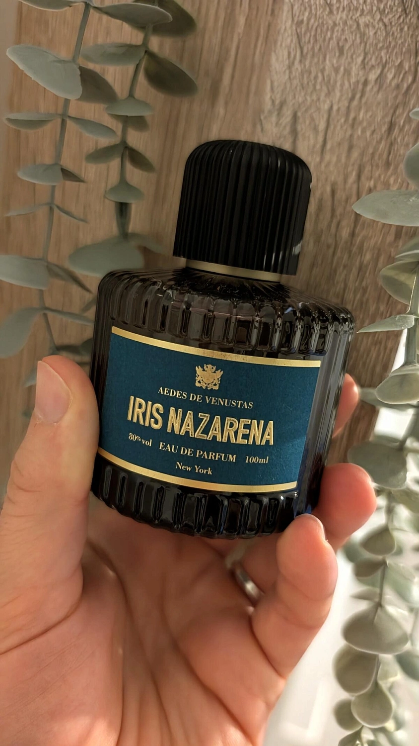 Aedes de Venustas Iris Nazarena