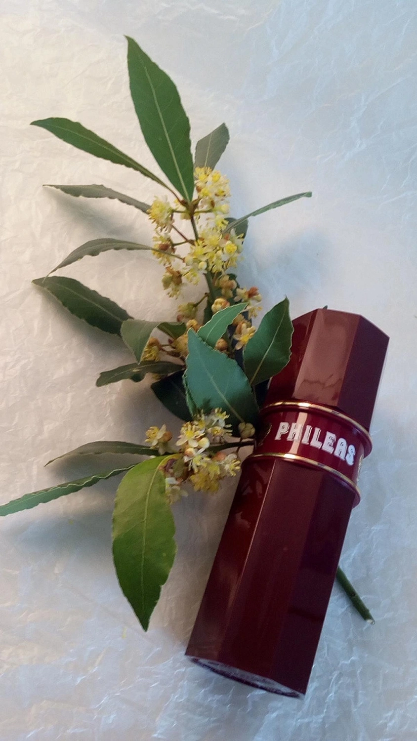 Nina Ricci Phileas