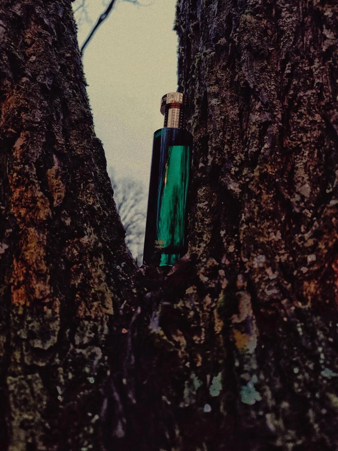Hermetica Eterniris