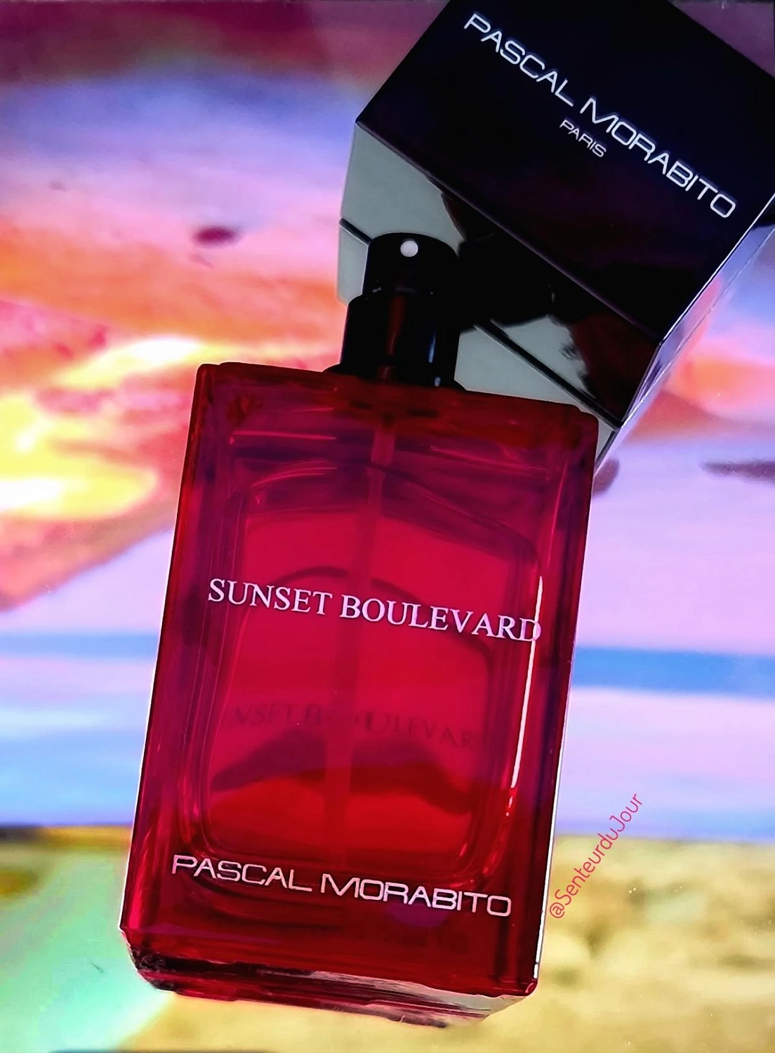 Pascal Morabito Sunset Boulevard