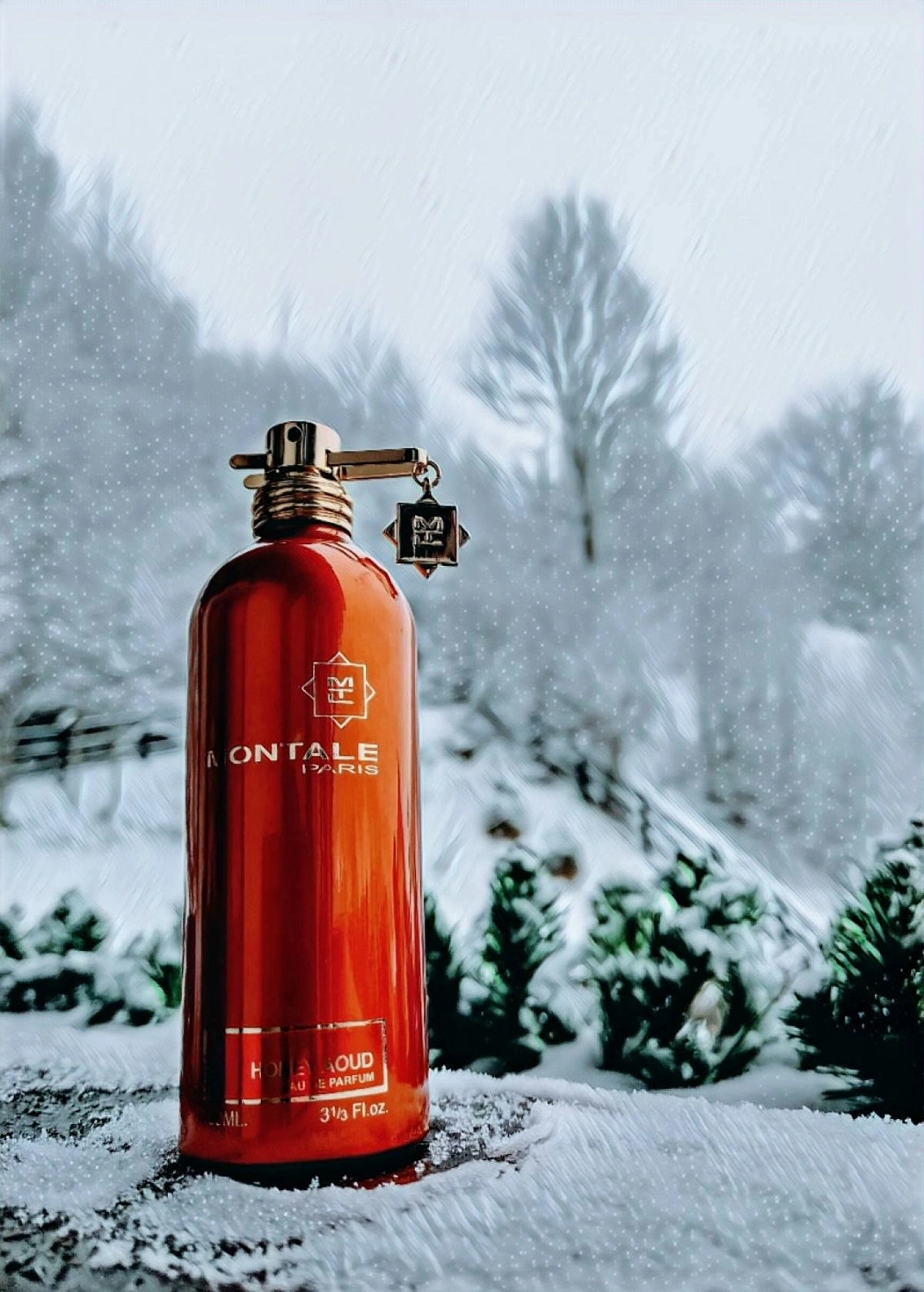 Montale Honey Aoud