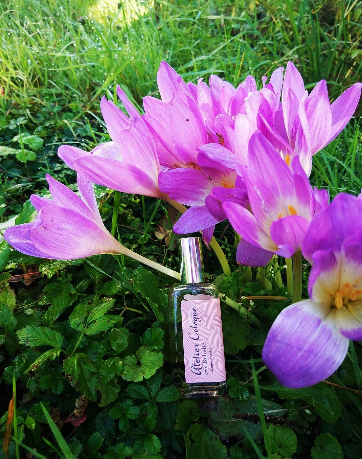 Atelier Cologne Iris Rebelle