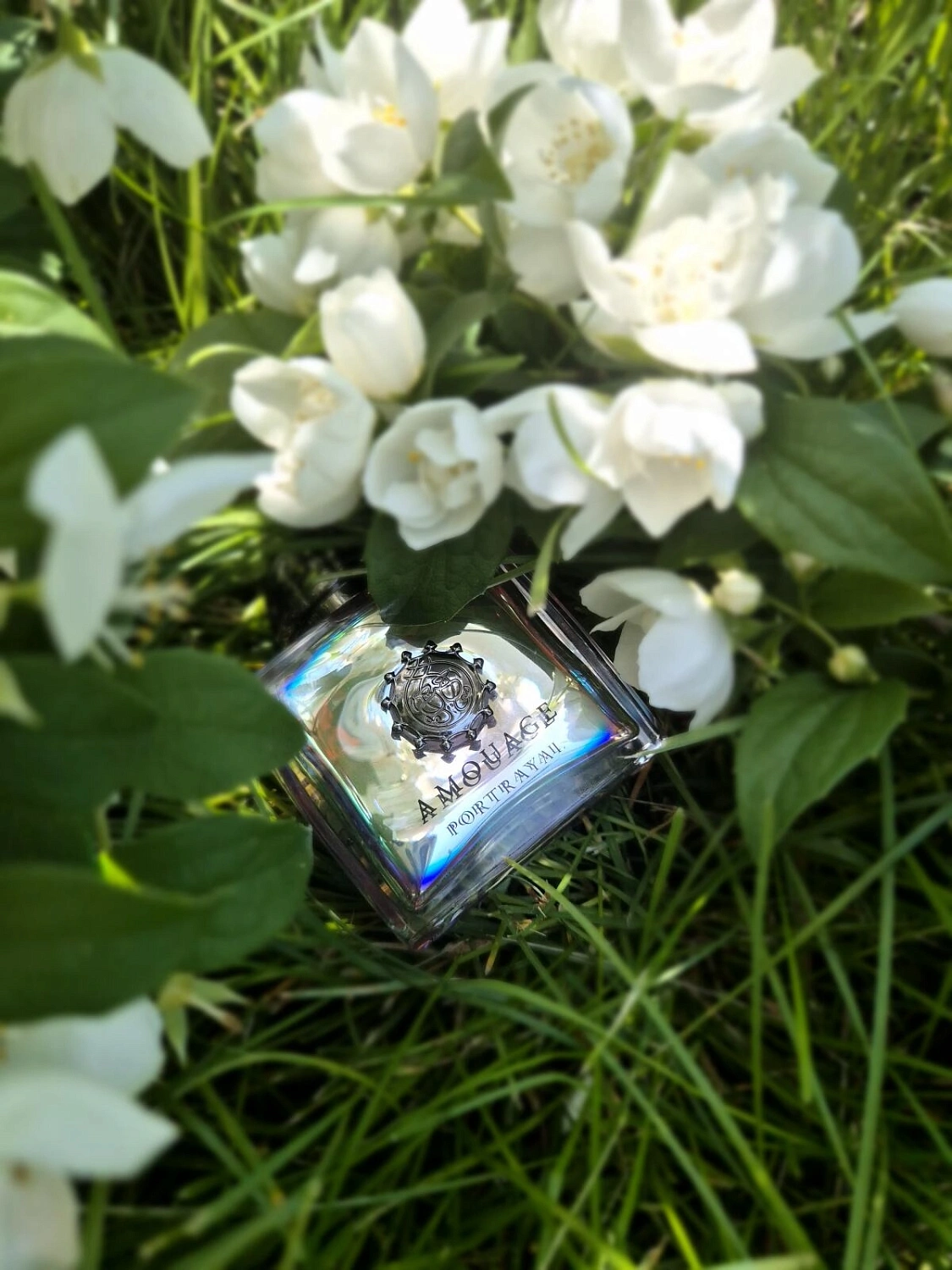 Amouage Portrayal Woman