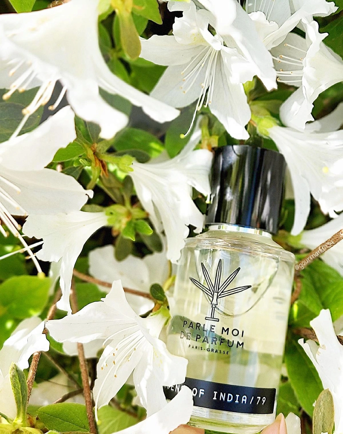 Parle Moi de Parfum Gardens Of India 79