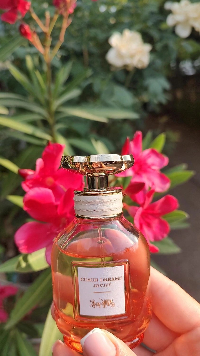 Coach Dreams Sunset