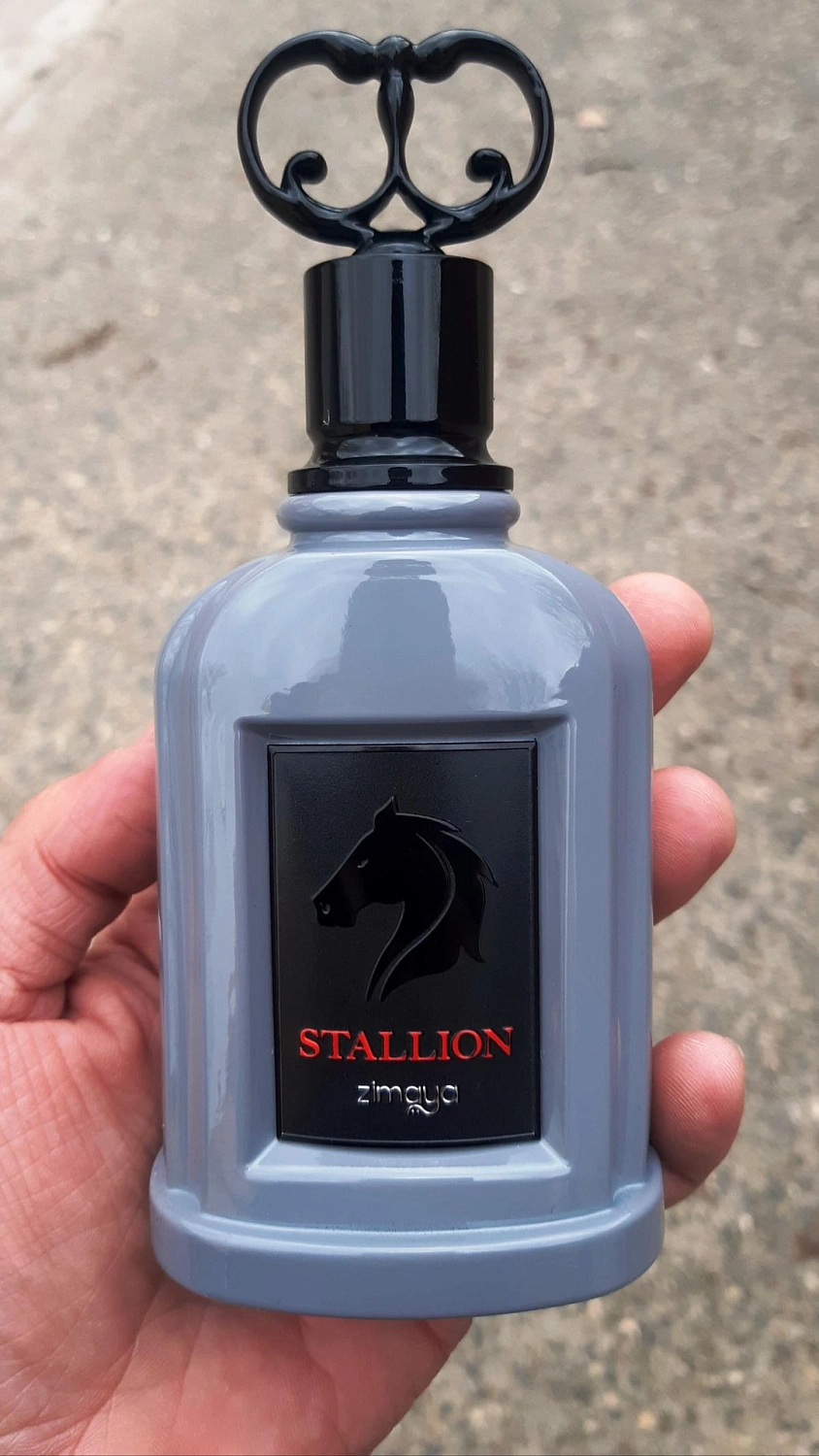 Zimaya Stallion