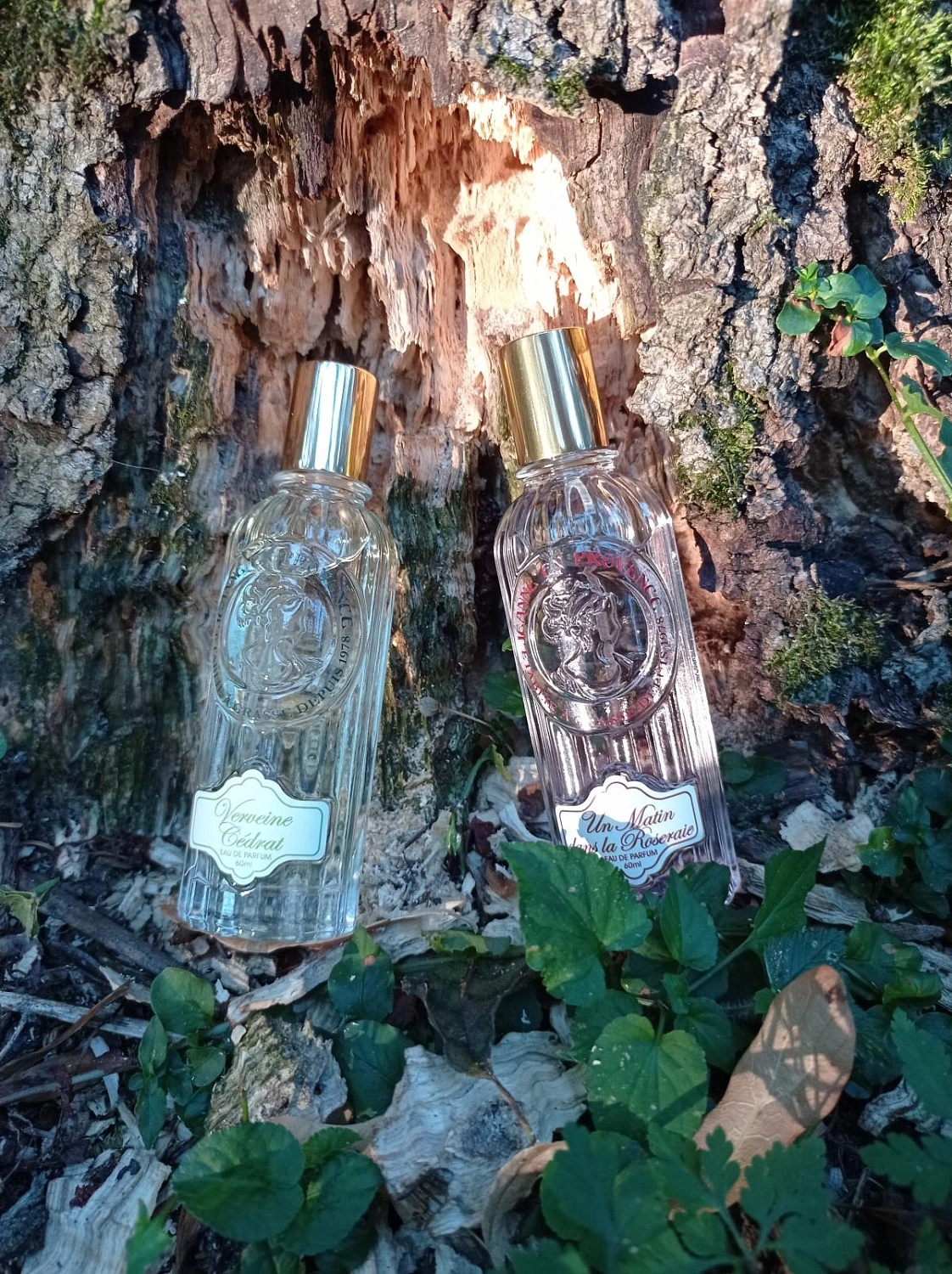 Jeanne en Provence Verveine Cedrat