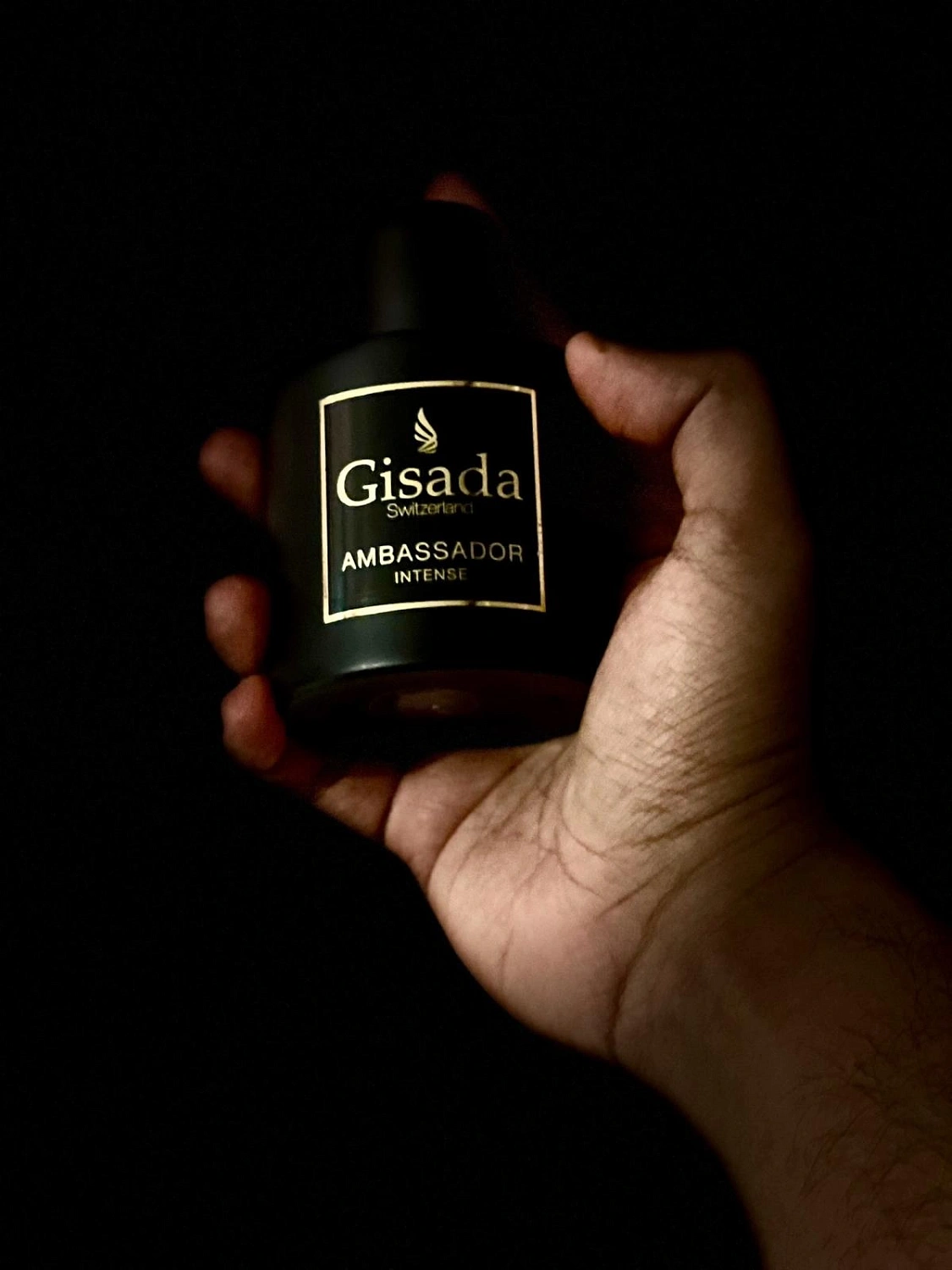 Gisada Ambassador Intense