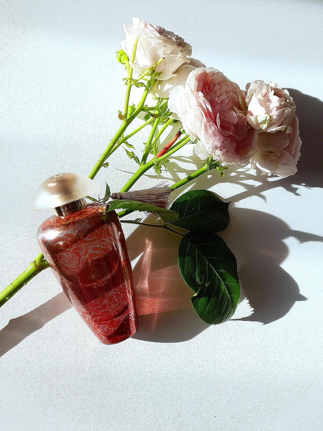 The Merchant of Venice Rosa Moceniga