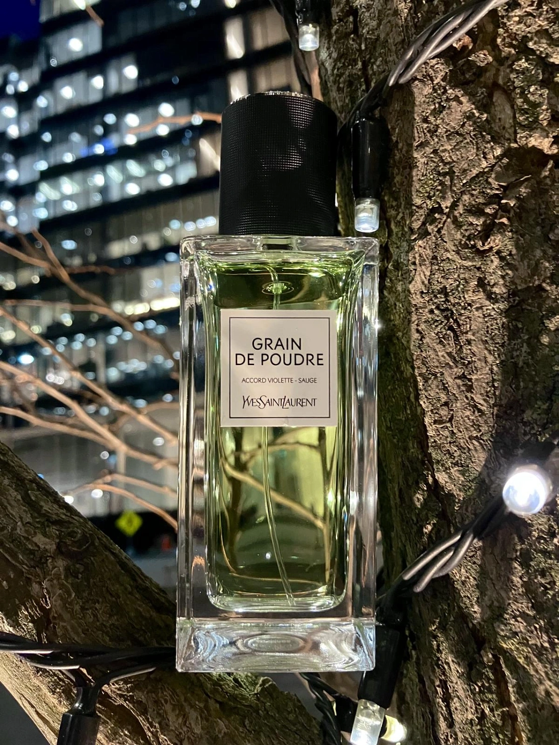 Yves Saint Laurent Grain de Poudre