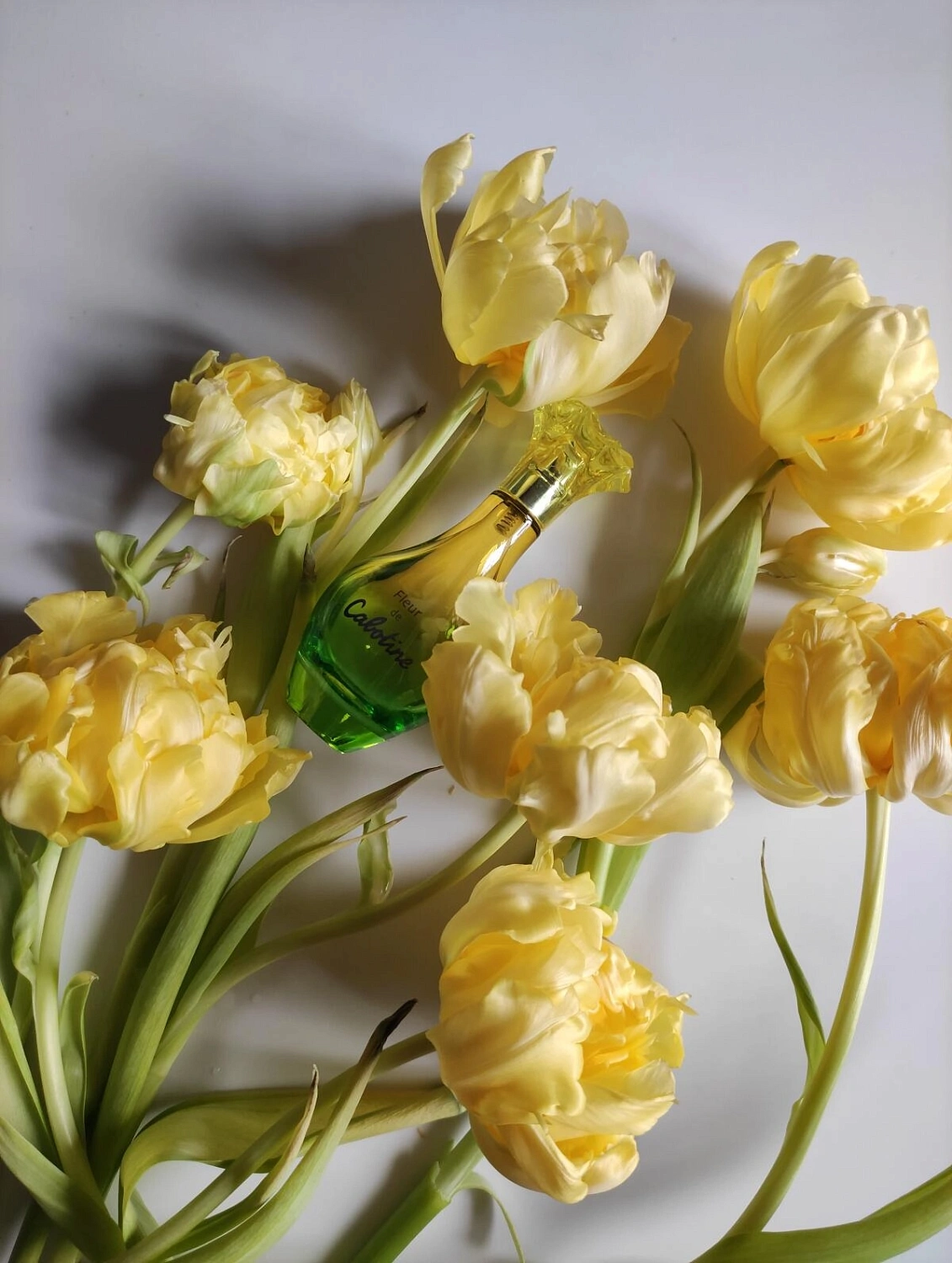 Grès Fleur De Cabotine