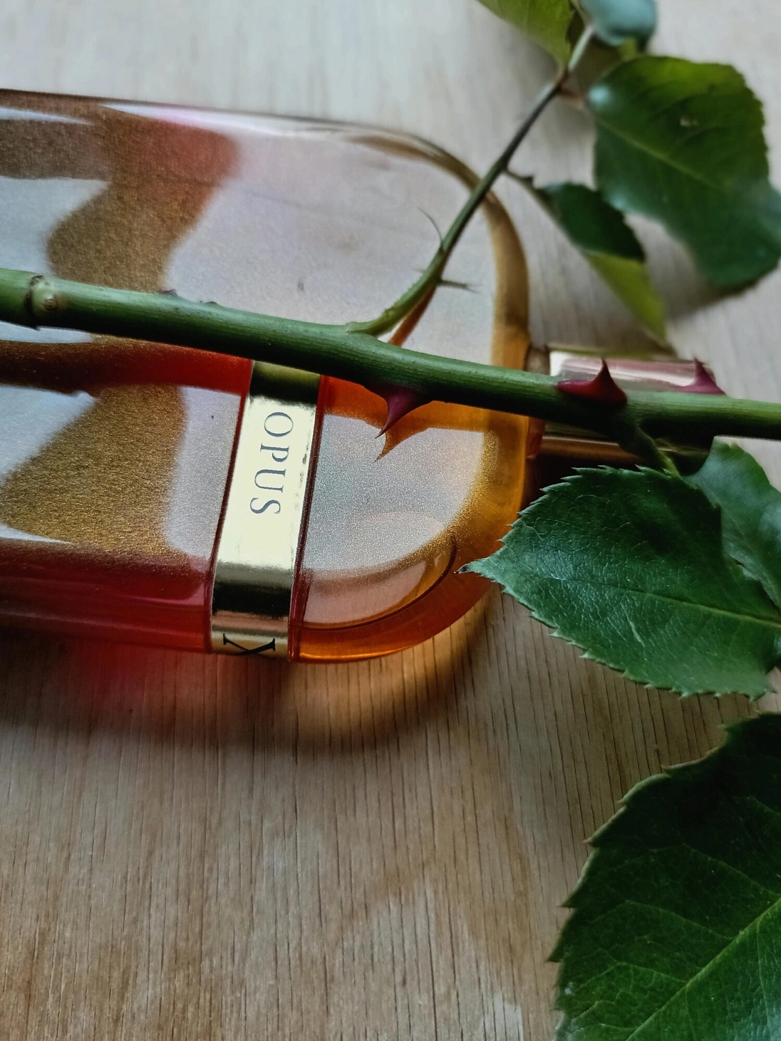 Amouage The Library Collection Opus X