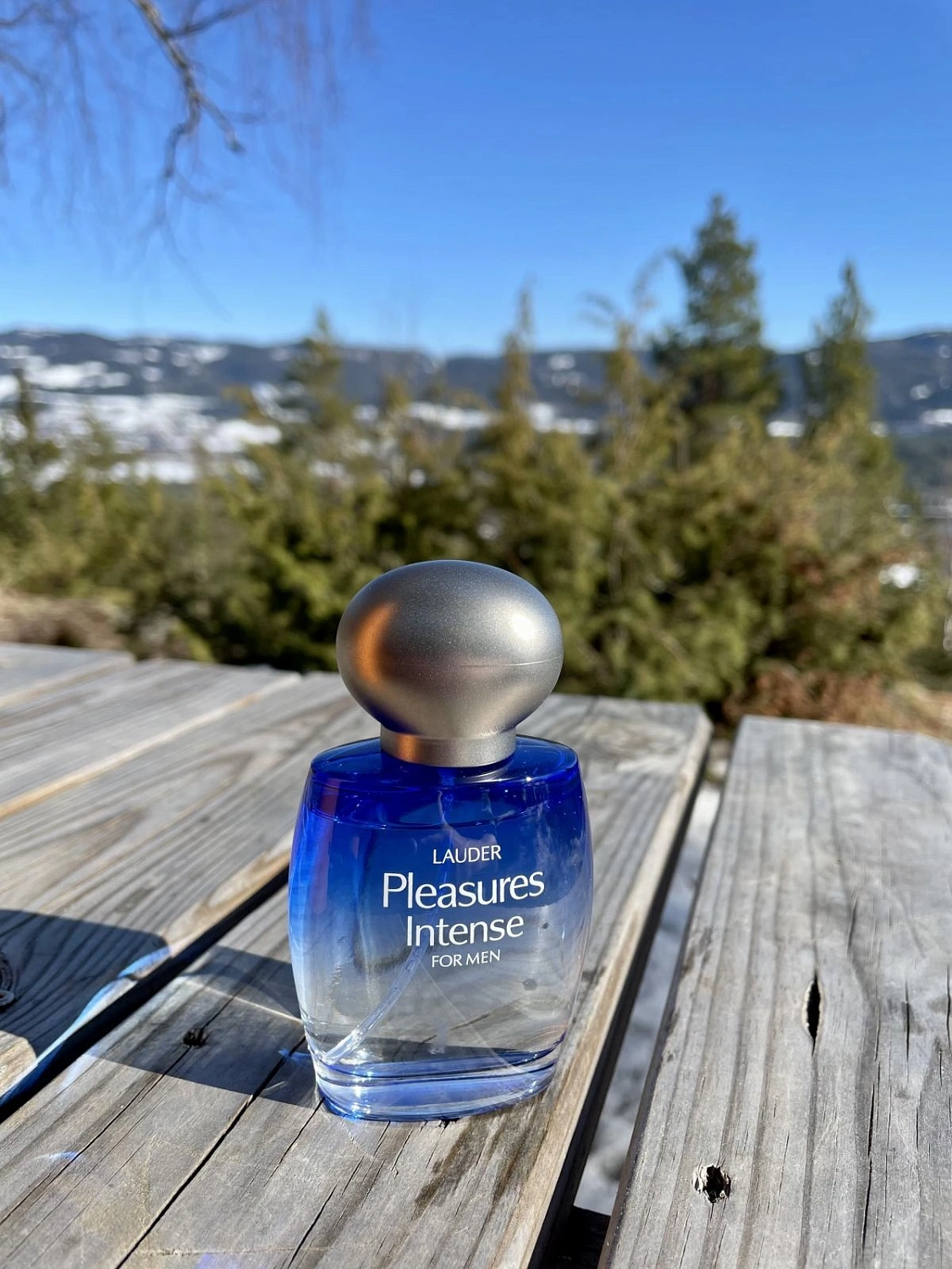 Estée Lauder Pleasures Intense For Men