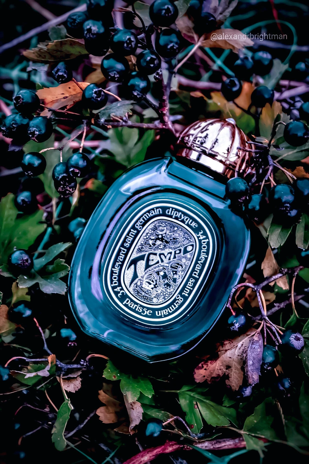 Diptyque Tempo